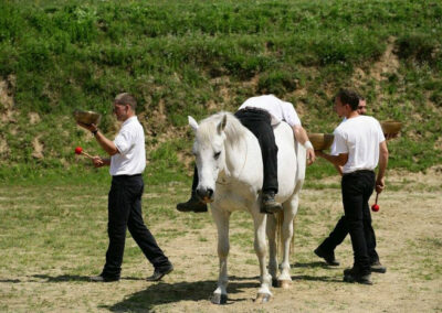 hangterápia háziállatok számára